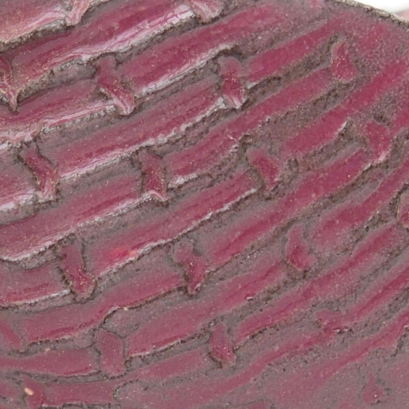 Concha de cerámica 8 x 7,5 x 4,5 cm , color rosa