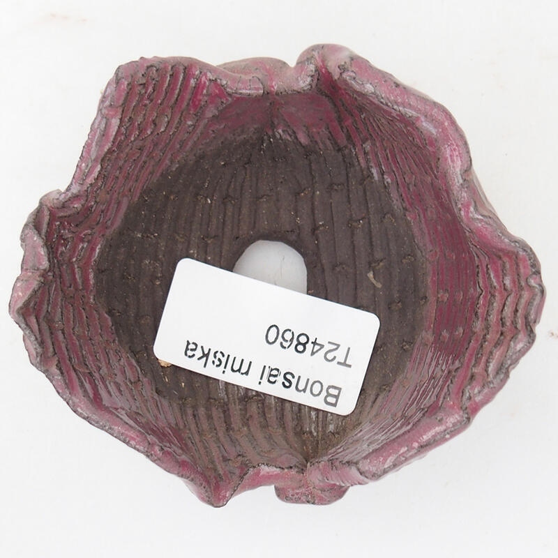 Concha de cerámica 8 x 7,5 x 4,5 cm , color rosa