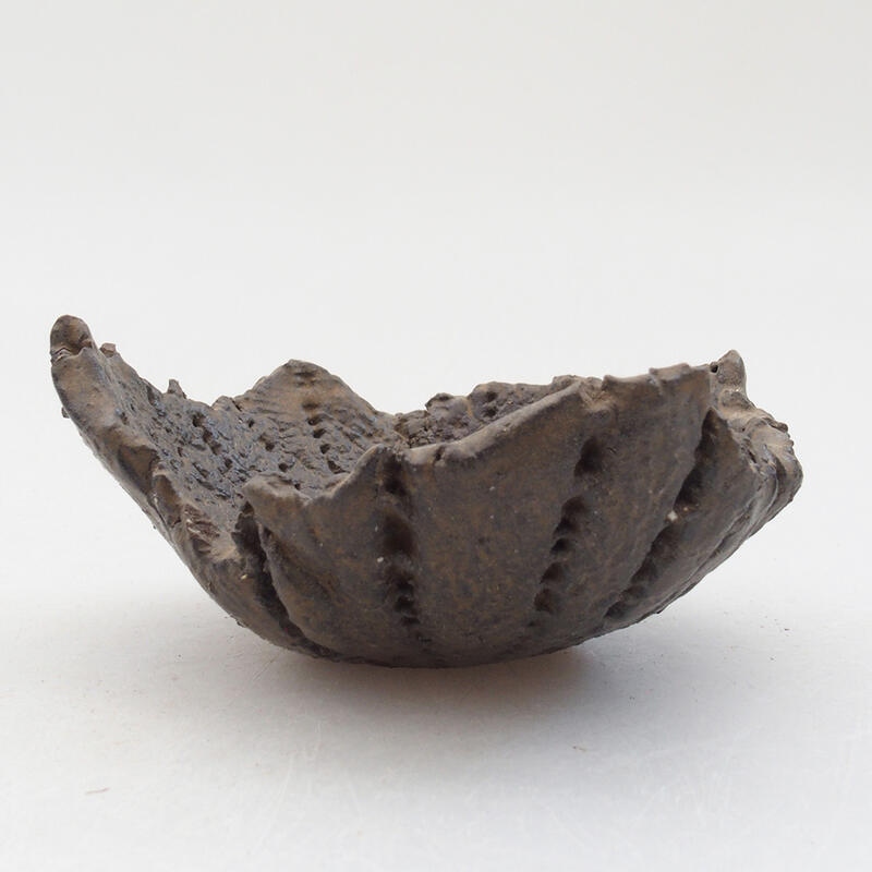 Concha de cerámica 8 x 7,5 x 4 cm , color marrón