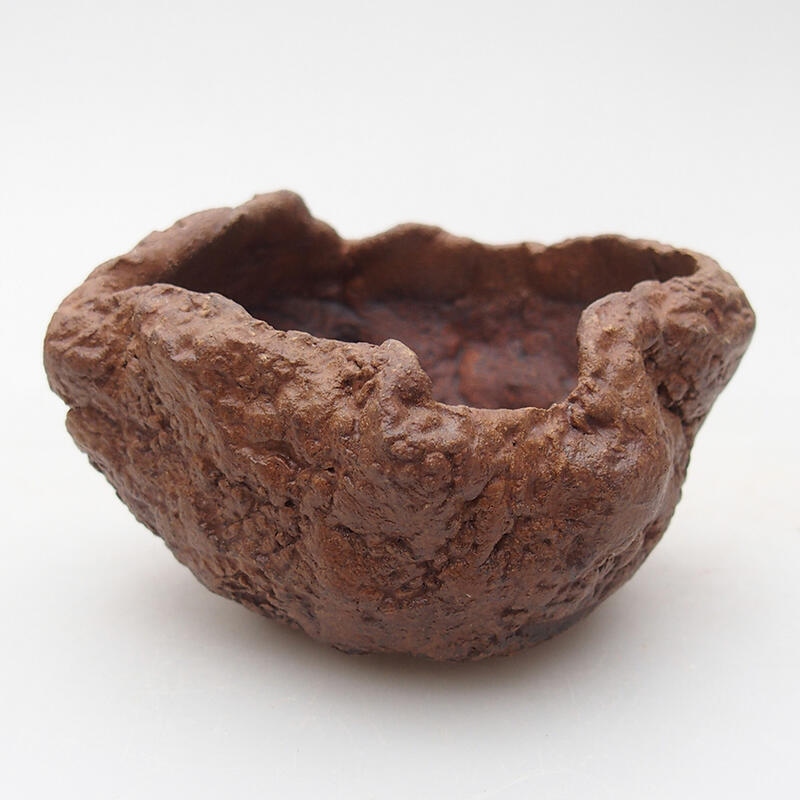 Concha de cerámica 8 x 7,5 x 5,5 cm , color marrón