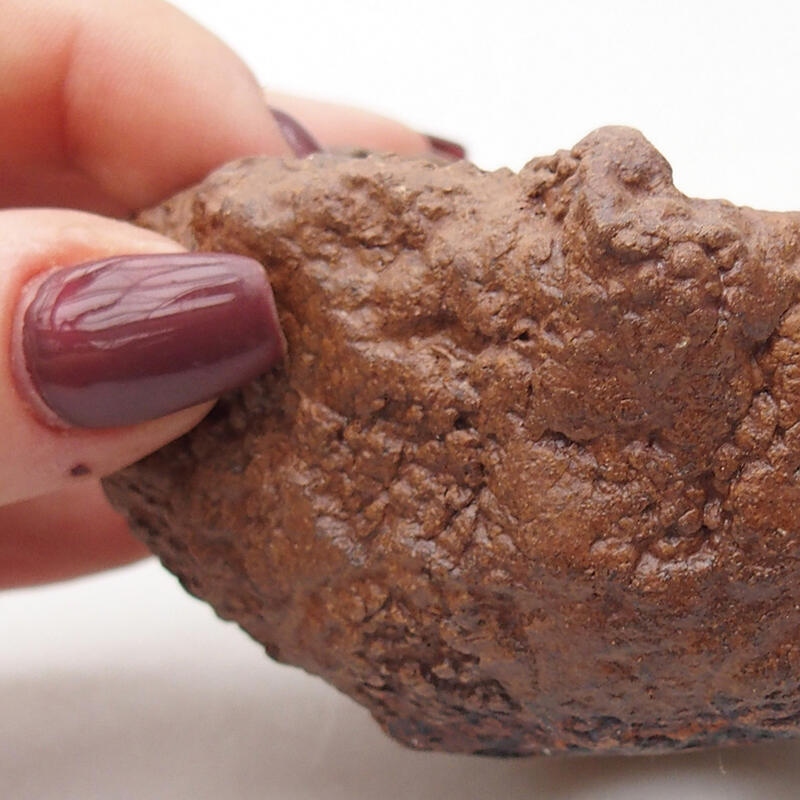 Concha de cerámica 8 x 7,5 x 5,5 cm , color marrón