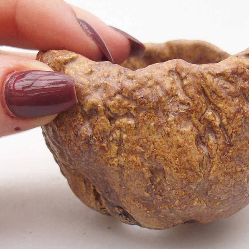 Concha de cerámica 8 x 7,5 x 5,5 cm , color marrón