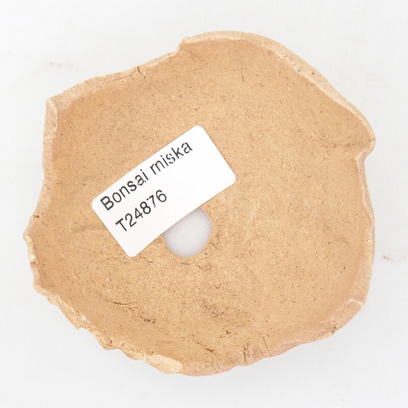 Concha de cerámica 8 x 8,5 x 4,5 cm , color beige