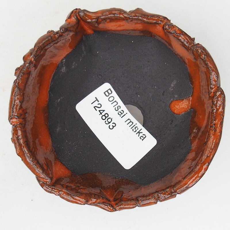 Concha de cerámica 8 x 8 x 3,5 cm , color naranja