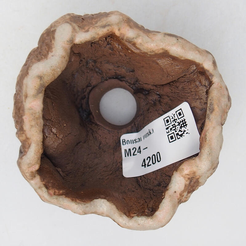 Concha de cerámica 8 x 8 x 5 cm , color beige