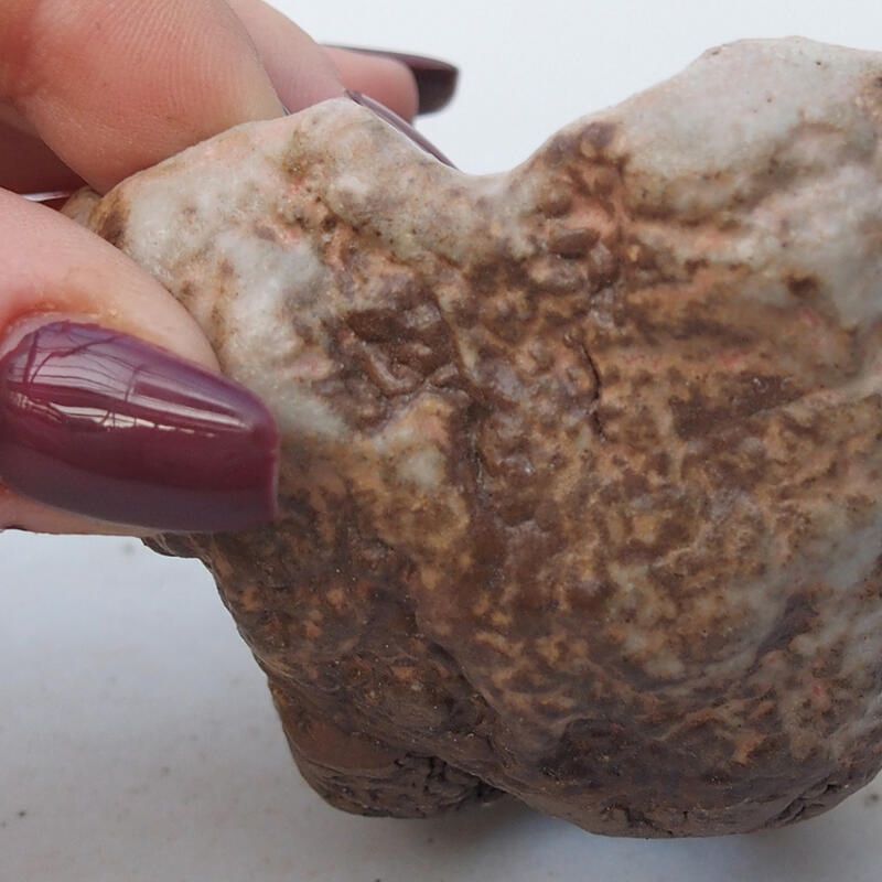 Concha de cerámica 8 x 8 x 5 cm , color beige