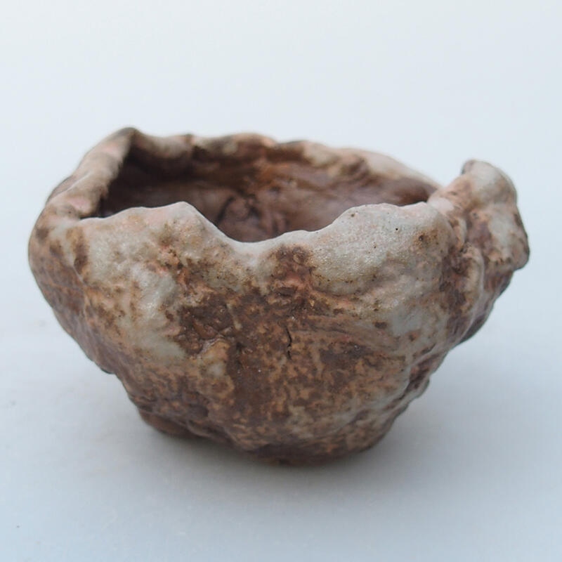 Concha de cerámica 8 x 8 x 5 cm , color beige