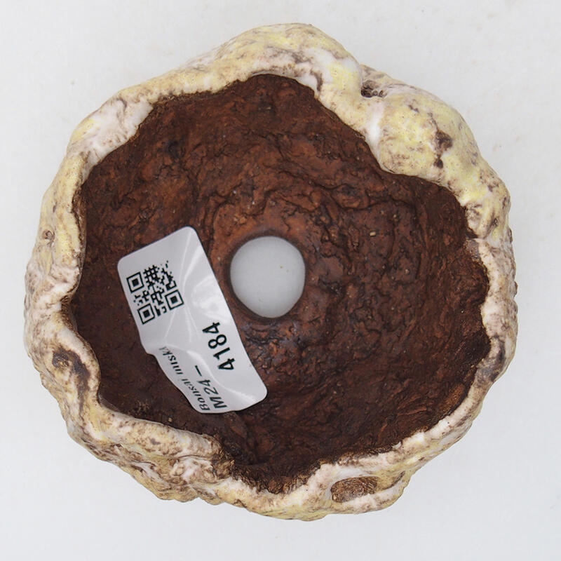 Concha de cerámica 8 x 8 x 6 cm , amarilla