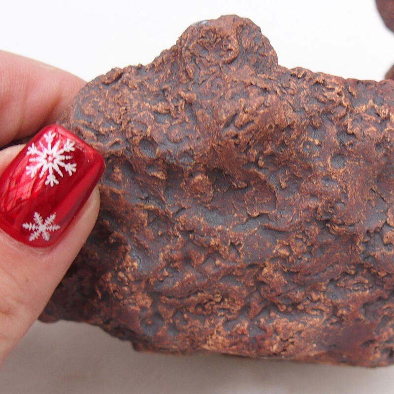 Concha de cerámica 9,5 x 11 x 11 cm , color rojo parduzco