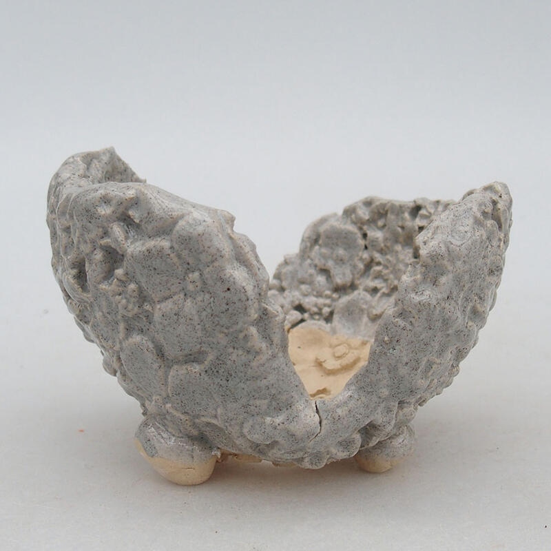 Concha de cerámica 9,5 x 8 x 7 cm , color gris