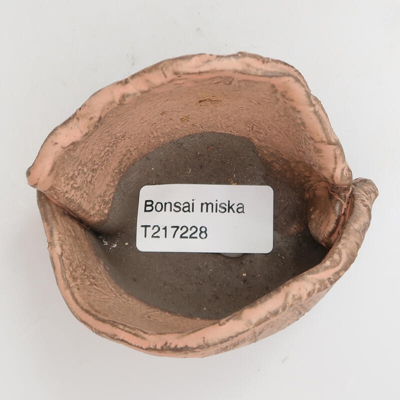 Concha de cerámica 9 x 7 x 6 cm, rosa