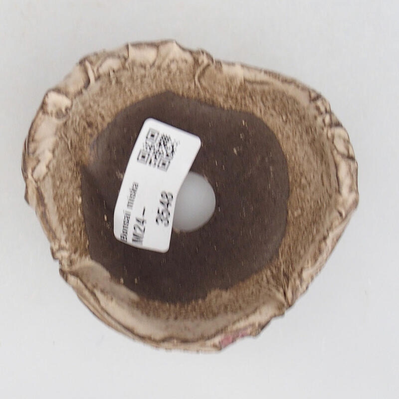 Concha de cerámica 9 x 8,5 x 5,5 cm , color beige