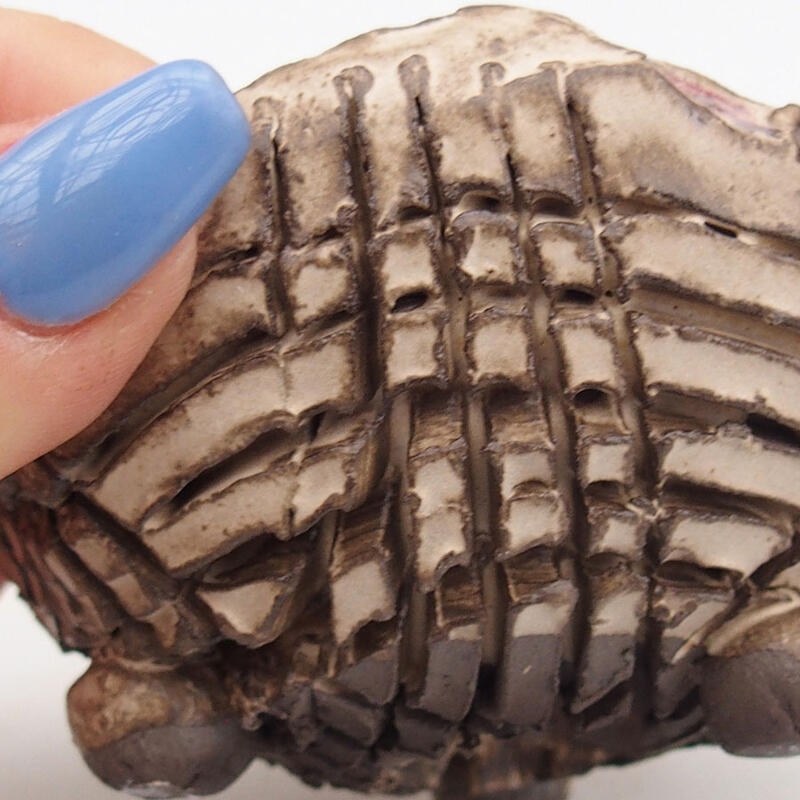 Concha de cerámica 9 x 8,5 x 5,5 cm , color beige