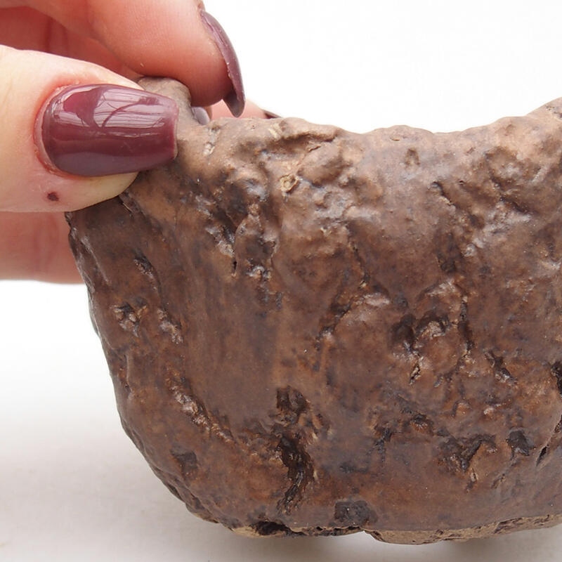 Concha de cerámica 9 x 8,5 x 6 cm , color marrón