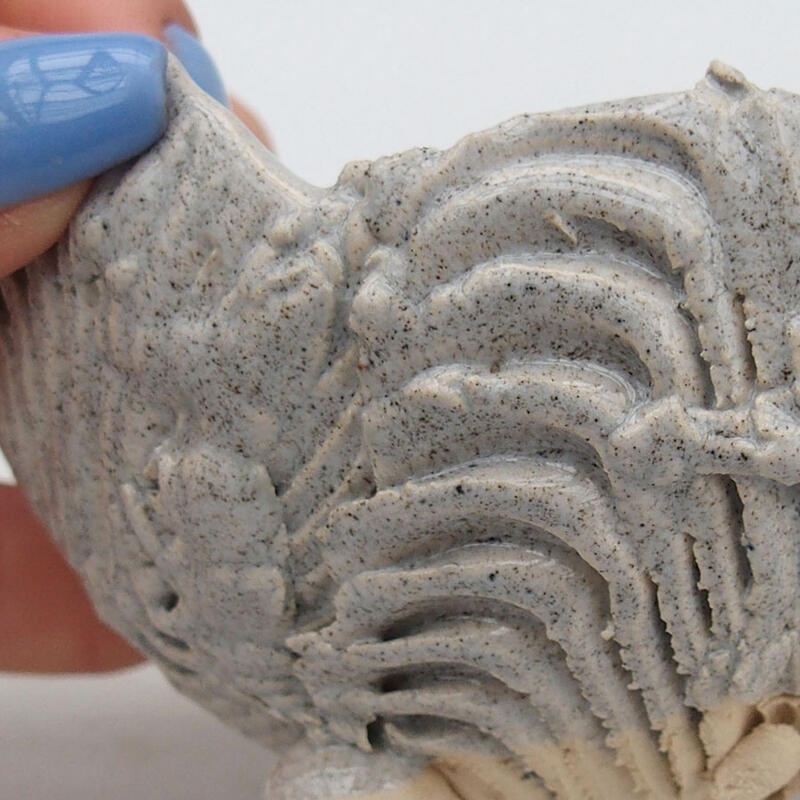 Concha de cerámica 9 x 8,5 x 6 cm , color gris