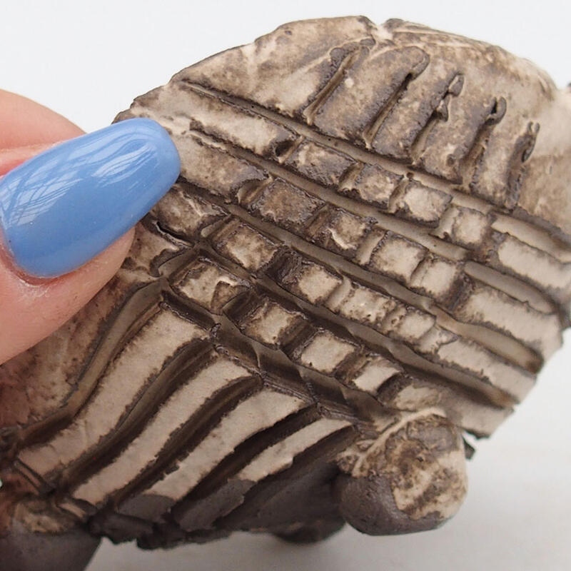 Concha de cerámica 9 x 8 x 5,5 cm , color beige