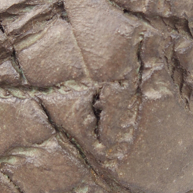 Concha de cerámica 9 x 8 x 5,5 cm , color marrón