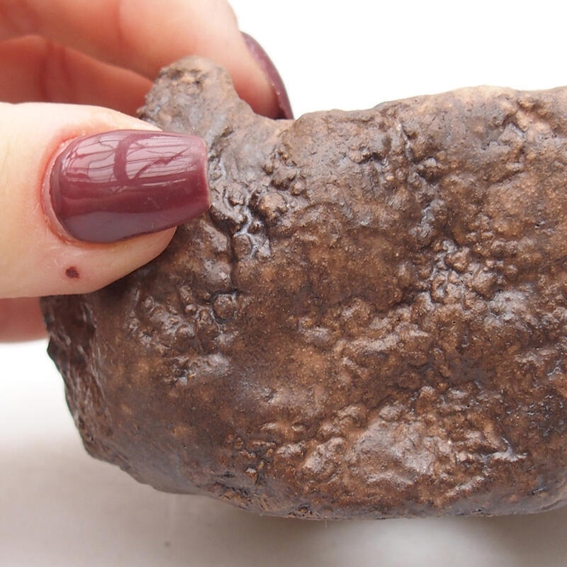 Concha de cerámica 9 x 8 x 5 cm , color marrón