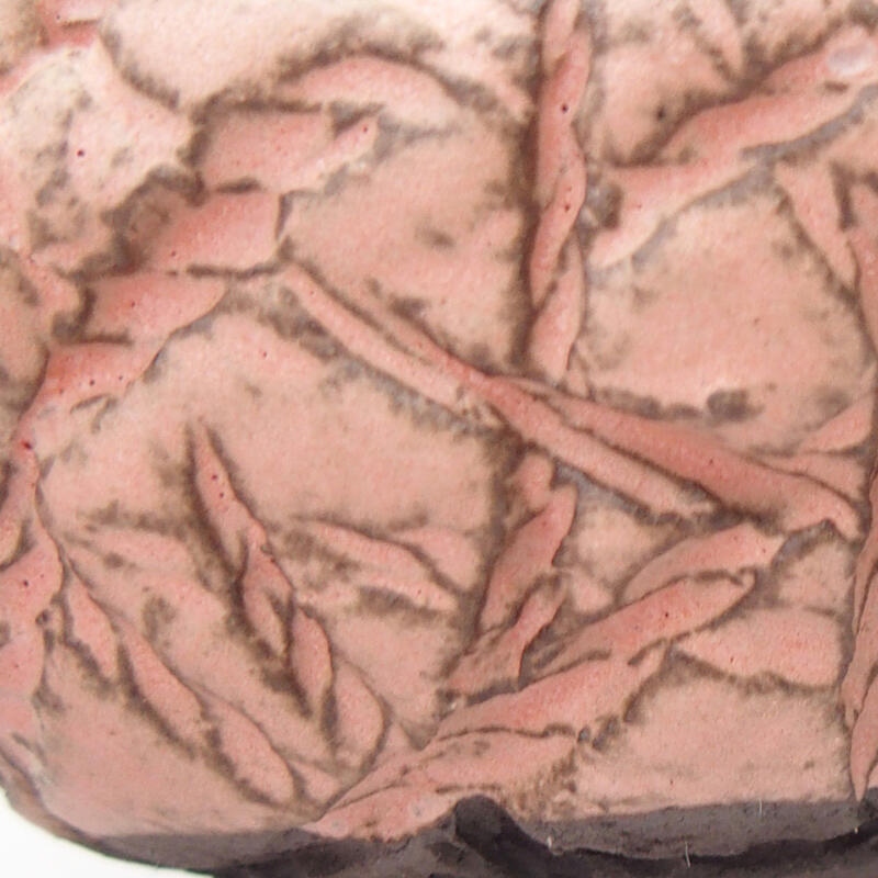 Concha de cerámica 9 x 8 x 5 cm , color rosa