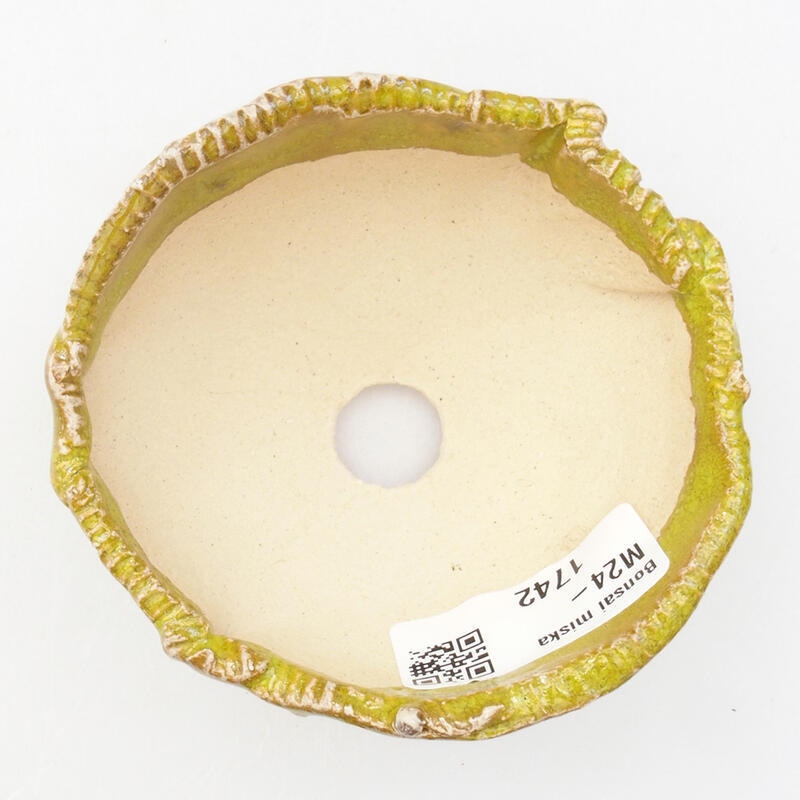 Concha de cerámica 9 x 8 x 5 cm , color verde