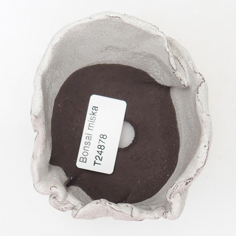 Concha de cerámica 9 x 8 x 6 cm , color gris