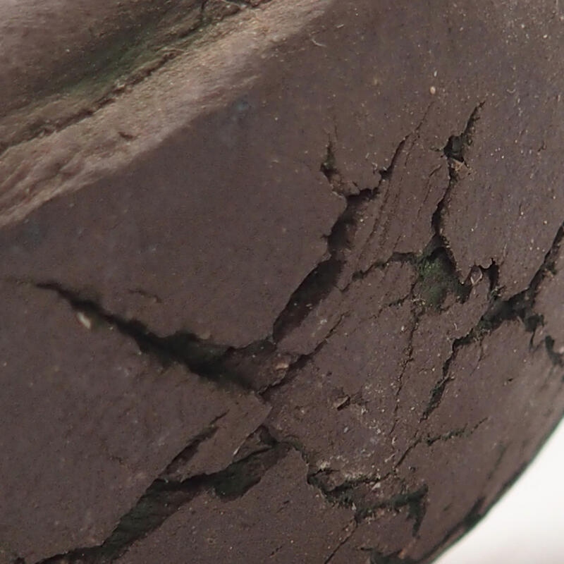 Concha de cerámica 9 x 9 x 4,5 cm , color verde