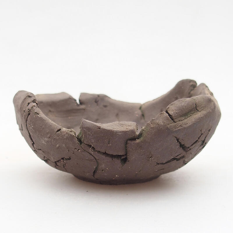 Concha de cerámica 9 x 9 x 4,5 cm , color verde