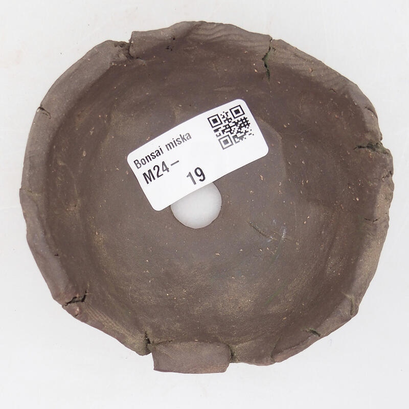 Concha de cerámica 9 x 9 x 4,5 cm , color verde