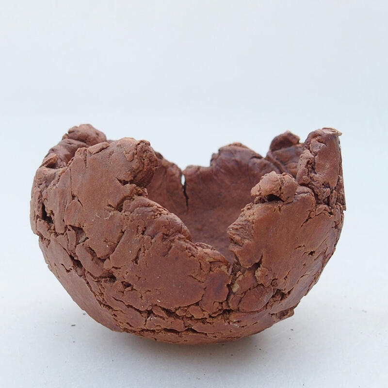 Concha de cerámica 9 x 9 x 6,5 cm , color marrón