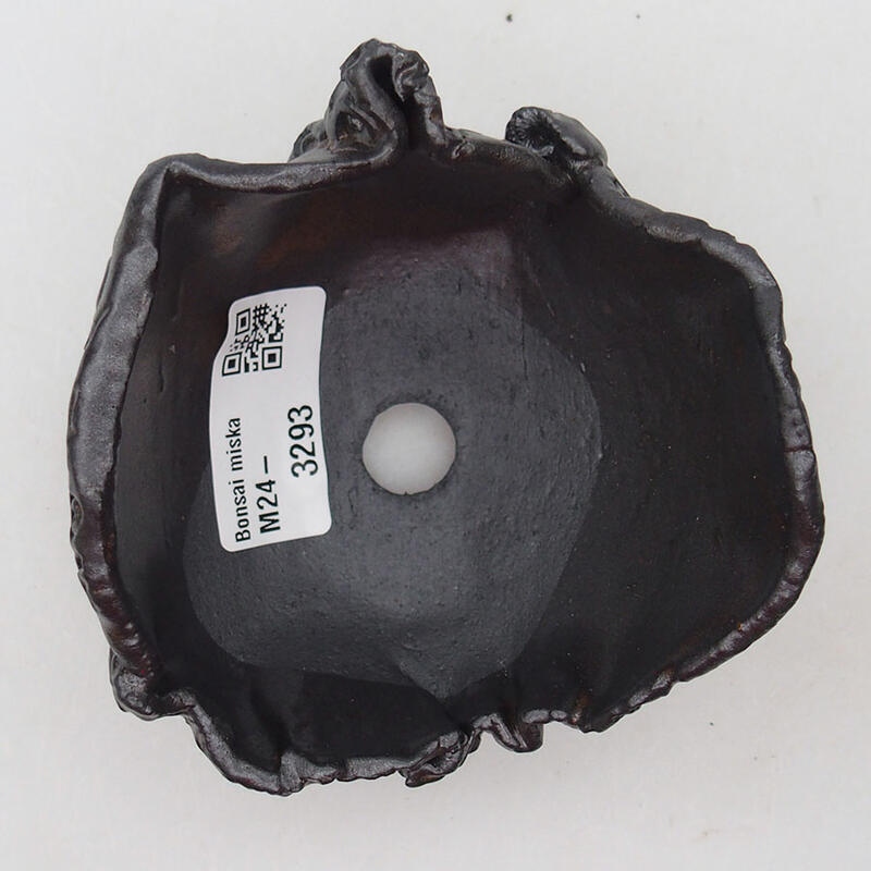 Concha de cerámica 9 x 9 x 6,5 cm , color marrón