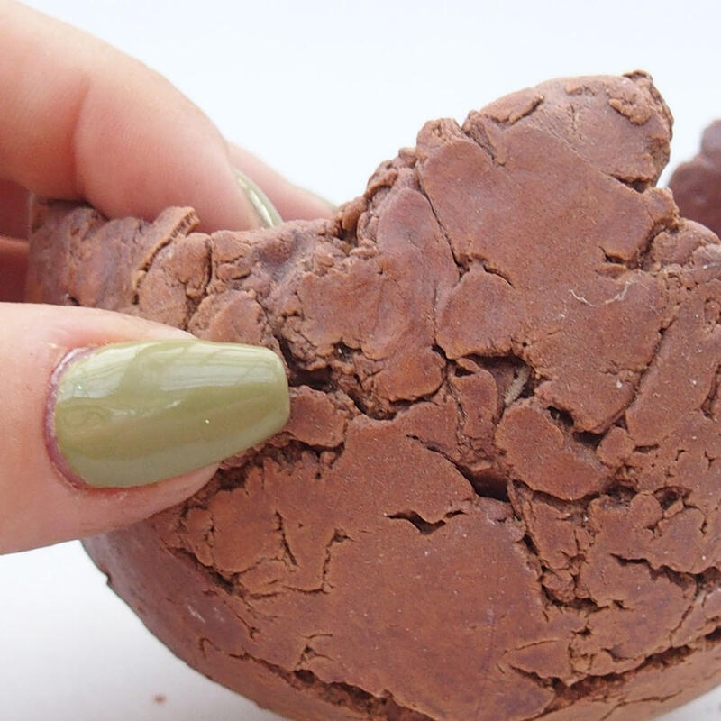 Concha de cerámica 9 x 9 x 6,5 cm , color marrón