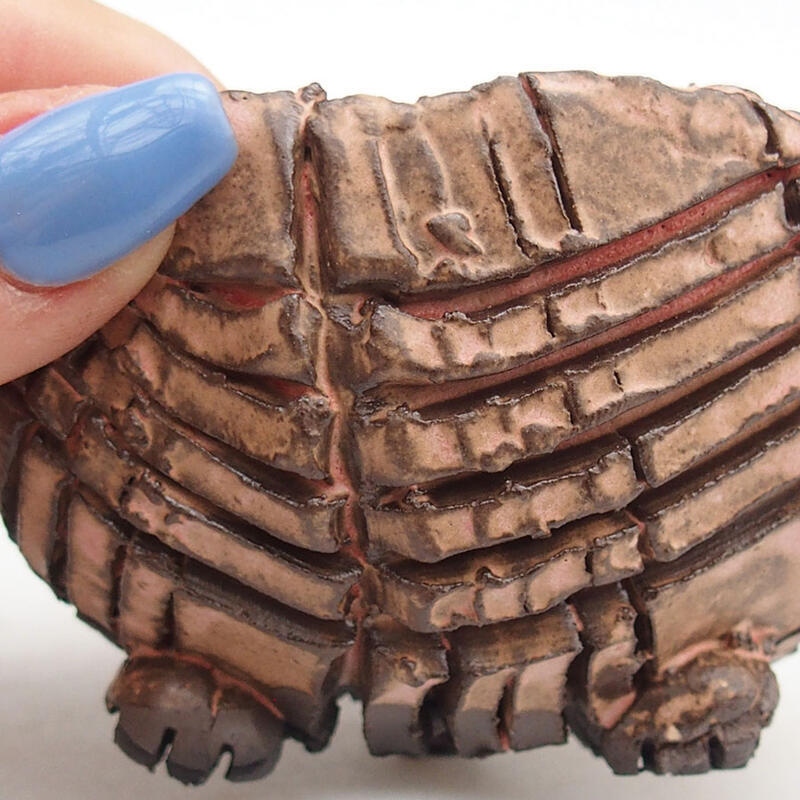 Concha de cerámica 9 x 9 x 6 cm , color rosa