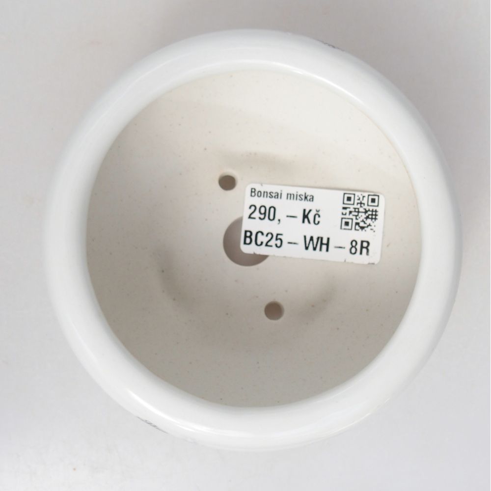 Cuenco bonsái de cerámica 10 x 10 x 5 cm, color blanco
