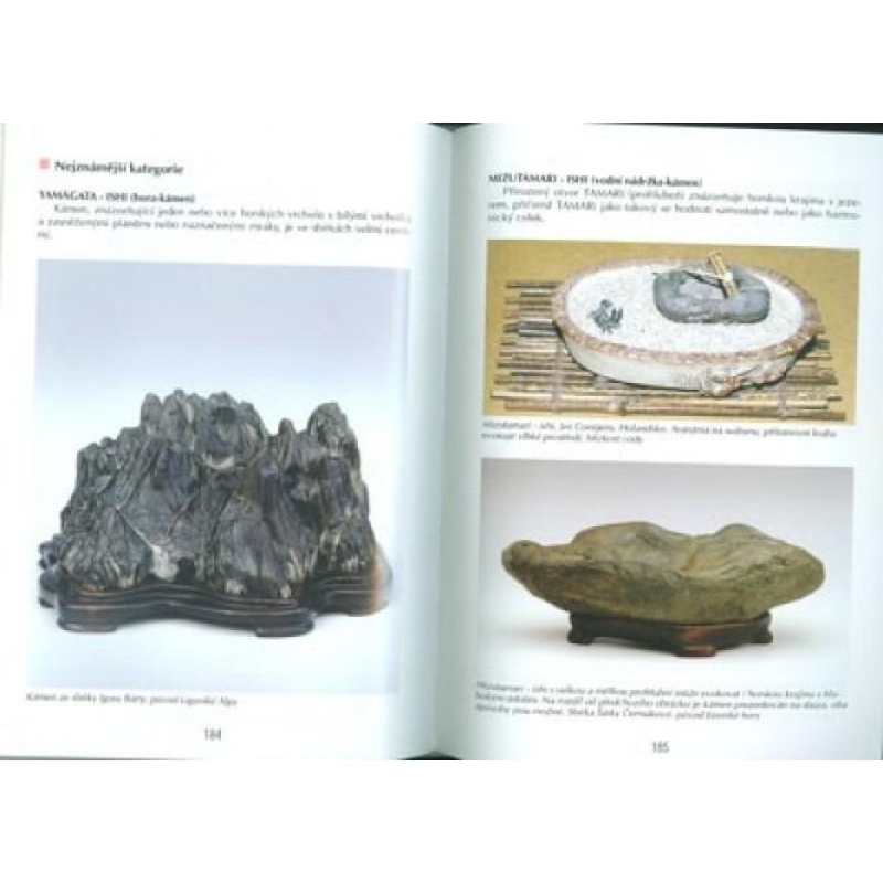 Libro de bonsáis no sólo en la casa del panel