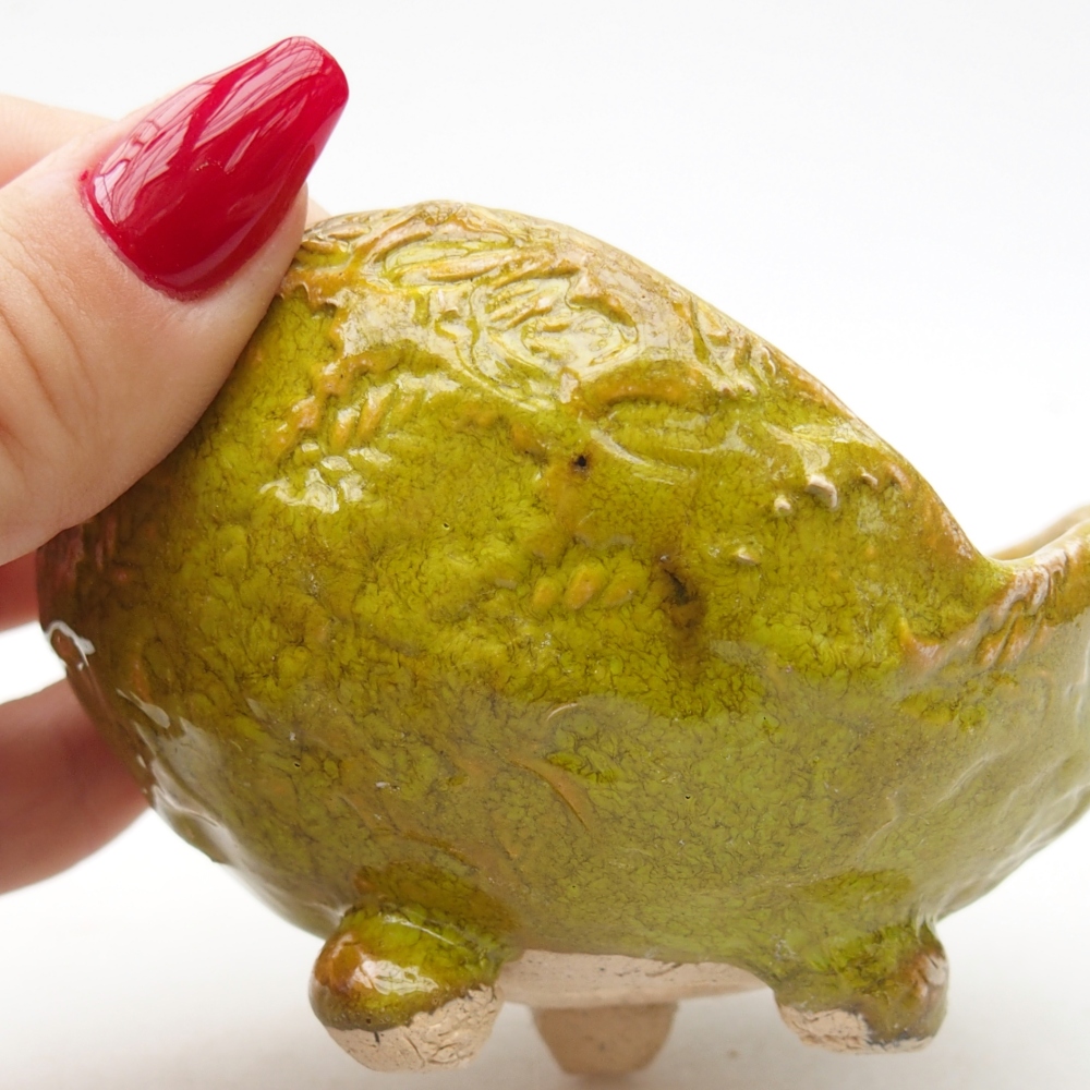 Concha de cerámica 9 x 8,5 x 5,5 cm , color verde