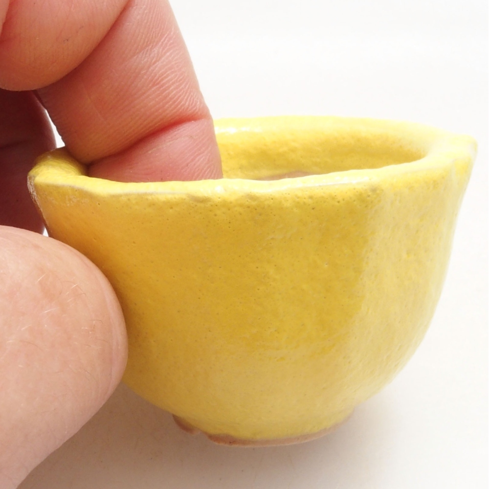 Cuenco bonsái de cerámica 5 x 5 x 3 cm, amarillo