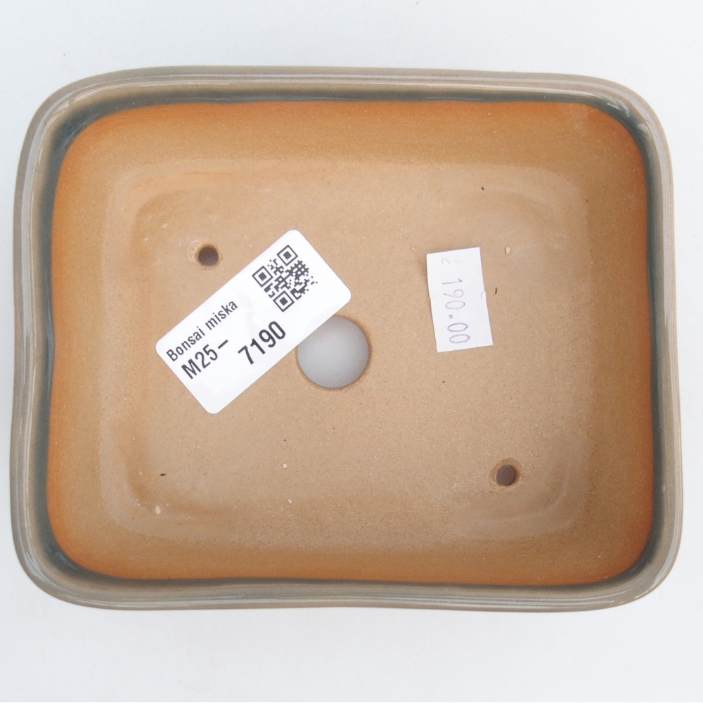 Cuenco bonsái de cerámica 12 x 10 x 4 cm, gris