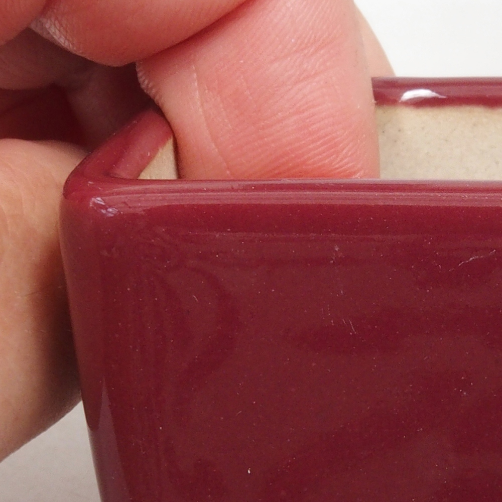 Cuenco mini bonsái 4,5 x 4,5 x 4,5 cm, burdeos