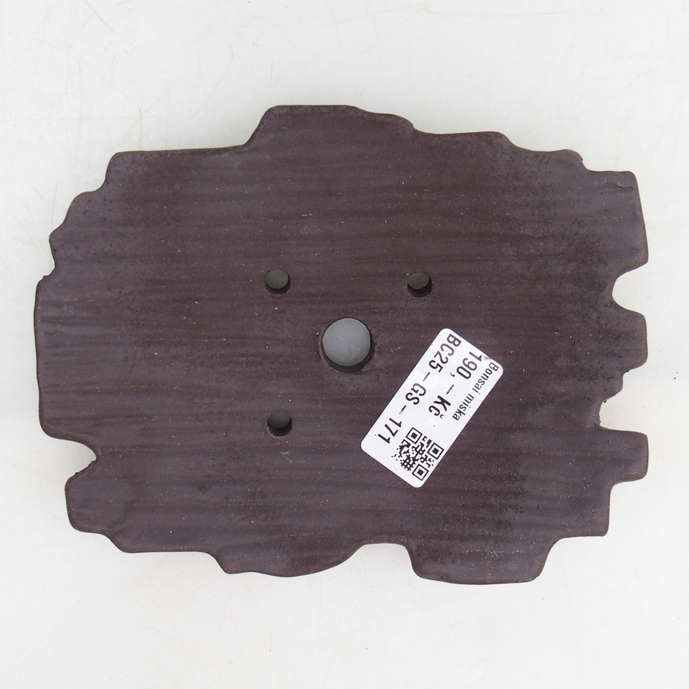 Concha de cerámica 16 x 12 x 3 cm , color marrón