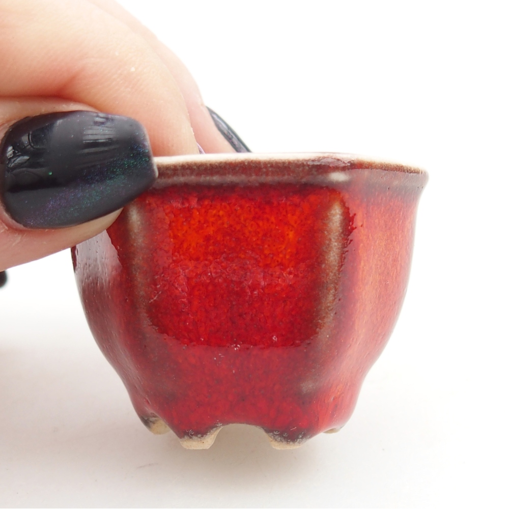 Cuenco mini bonsái 4 x 4 x 3 cm, color rojo