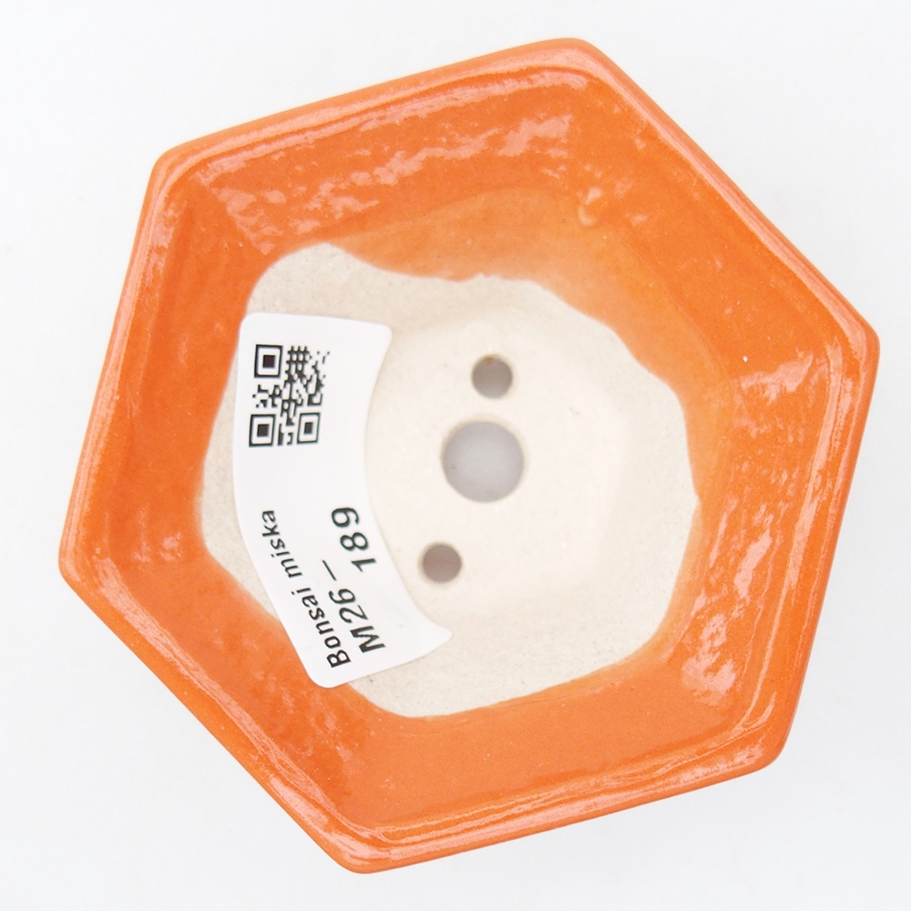 Mini cuenco bonsái 8 x 7 x 3,5 cm, naranja