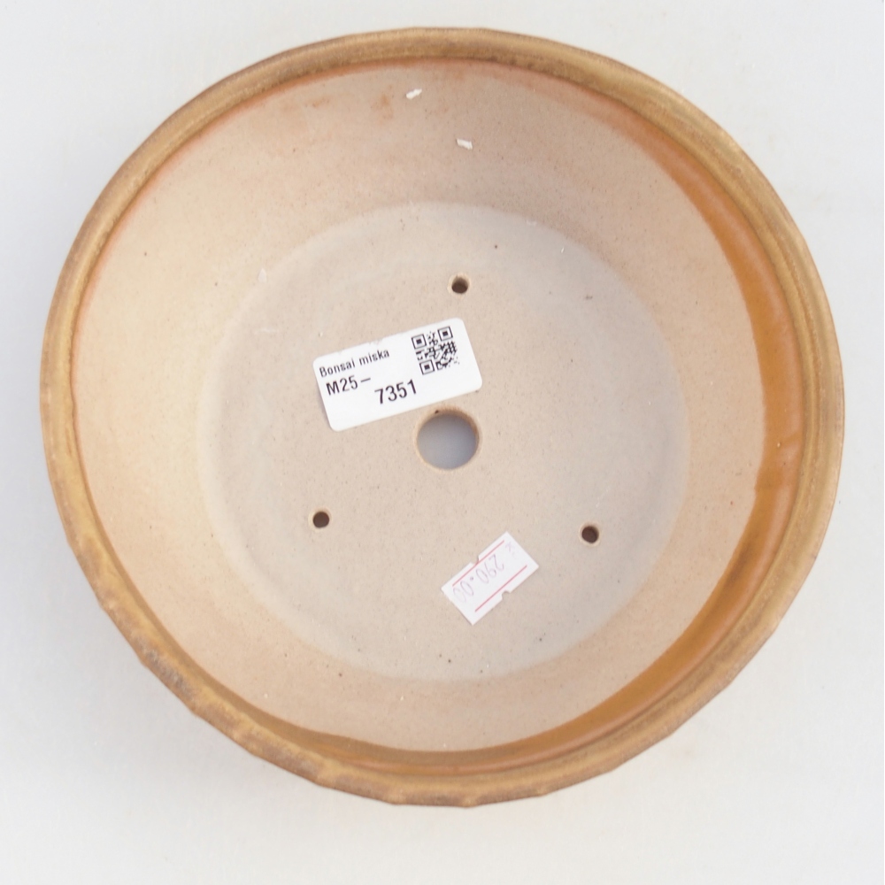 Cuenco bonsái de cerámica 18 x 18 x 5,5 cm, color beige