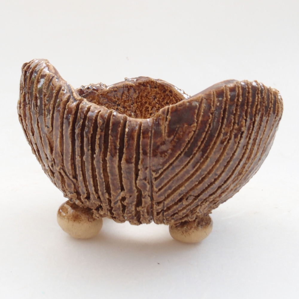 Concha de cerámica 8 x 7,5 x 6 cm , color marrón