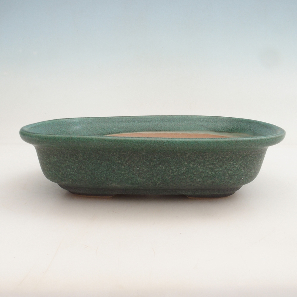Cuenco bonsái H25 - 23 x 17 x 5,5 cm - verde