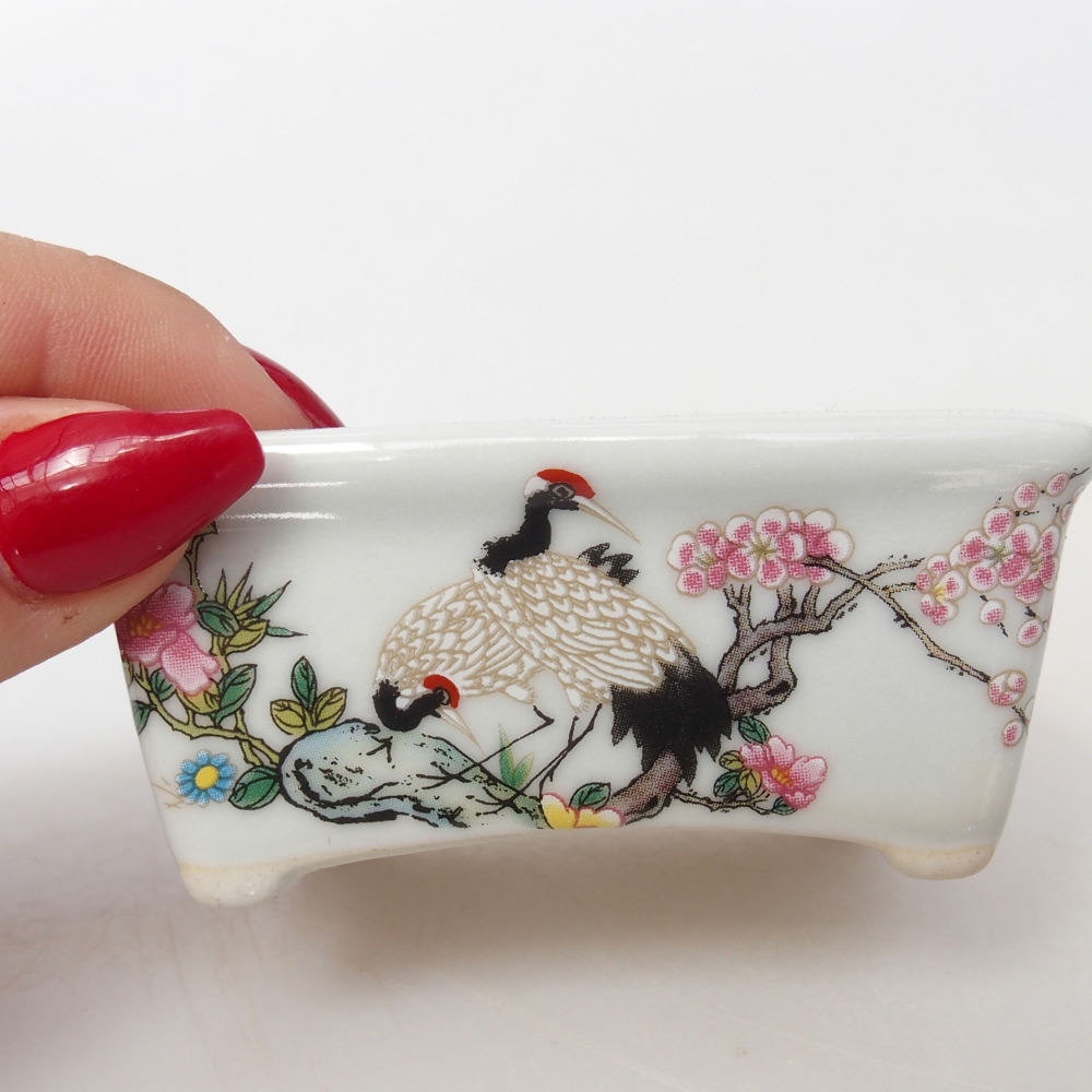 Cuenco mini bonsái 8 x 6,5 x 3,5 cm, blanco