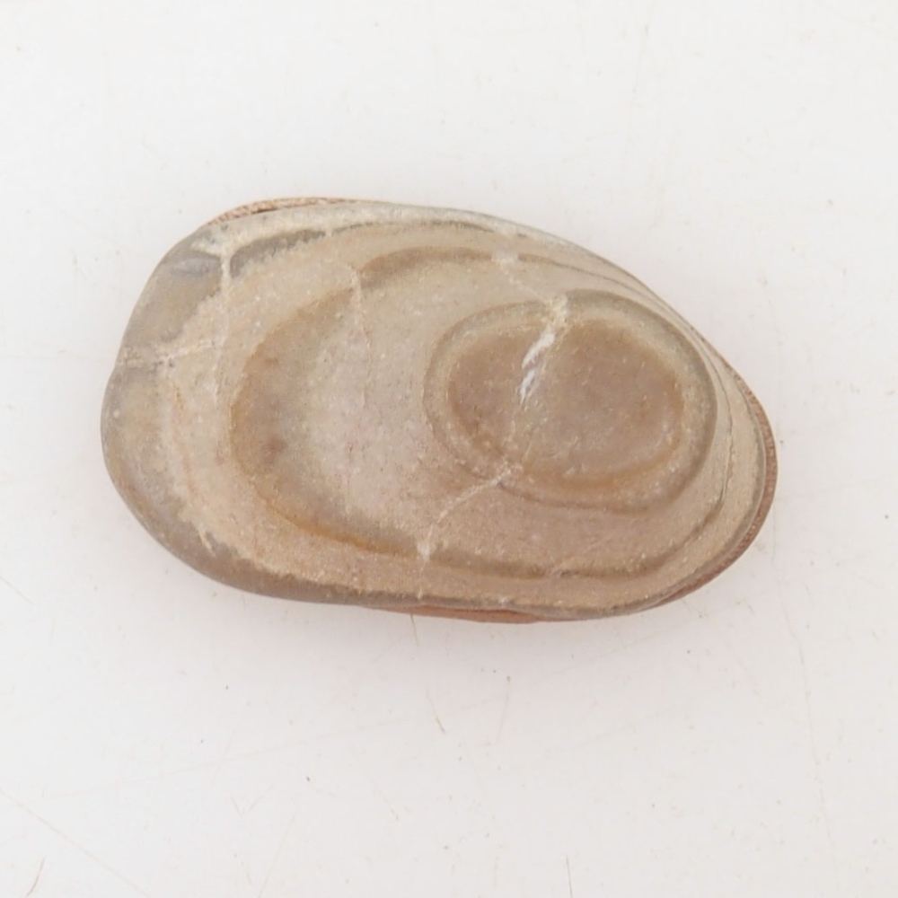 Suiseki - Piedra con DAI (base de madera)