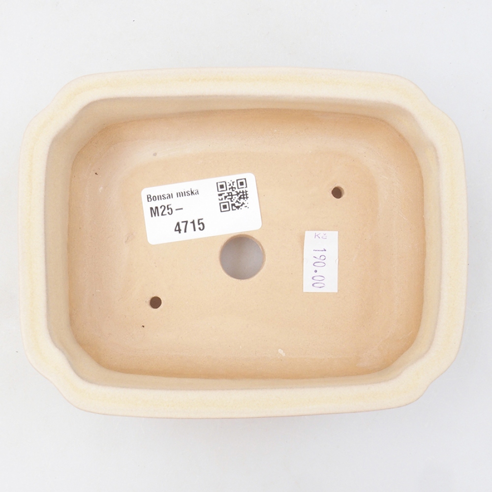 Cuenco bonsái de cerámica 14 x 11 x 4 cm, color beige