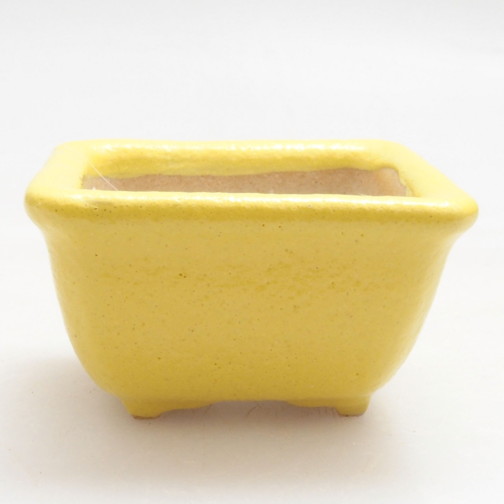 Cuenco bonsái de cerámica 4 x 3 x 2,5 cm, amarillo