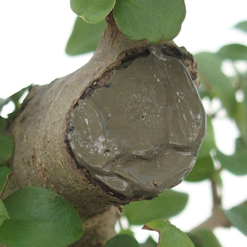 Bálsamo LAC 385 g con pincel