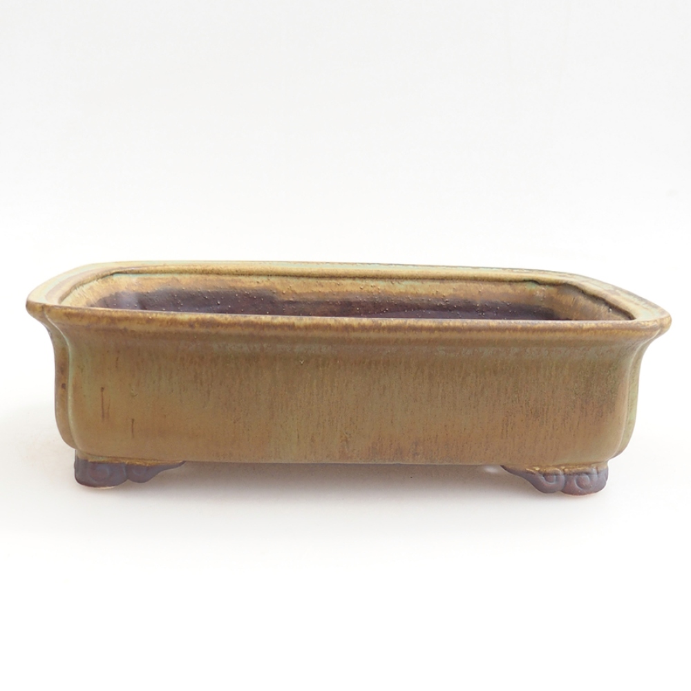 Cuenco bonsái de cerámica 24,5 x 19 x 7 cm, verde